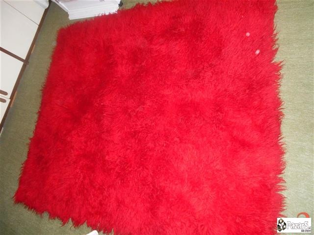 Se Prodavaat Jambolii