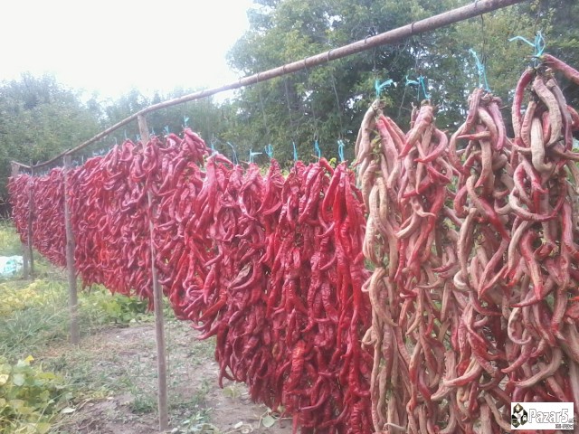 Продавам сушен пипер-везеници