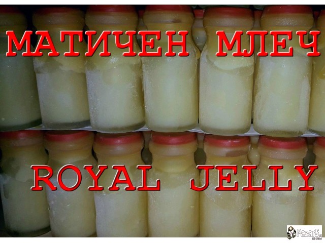  МАТИЧЕН МЛЕЧ - Royal Jelly
