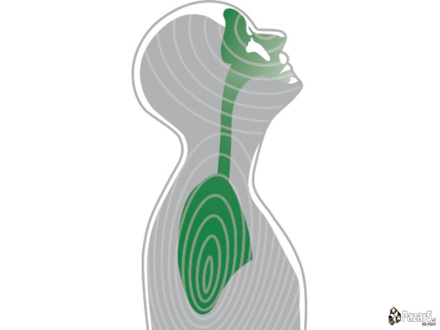 БРОНХОВИТАЛ