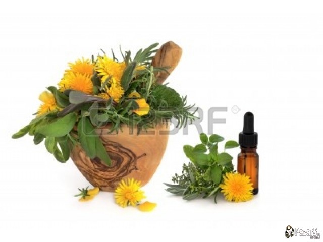 БИЛНИ КАПКИ *ШАРСКА ГОРЧИЦА*