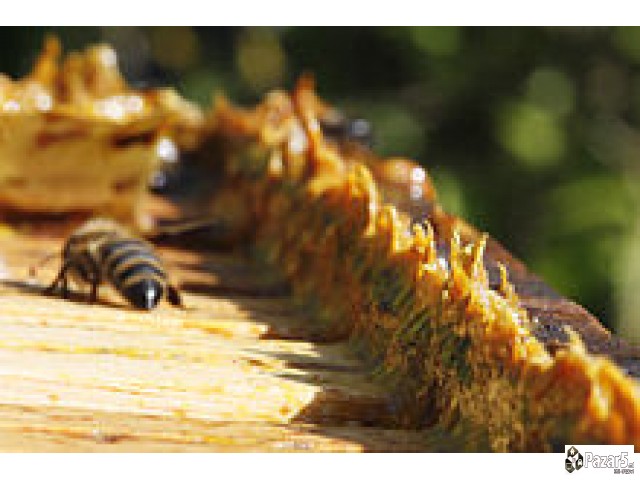 ЕЛИКСИР ЗА ПЛОДНОСТ