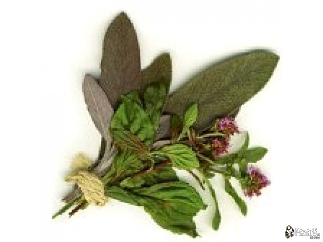 БРОНХОВИТАЛ