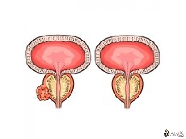 Н И К И В И Т А 100% ПРИРОДЕН ЕЛИКСИР