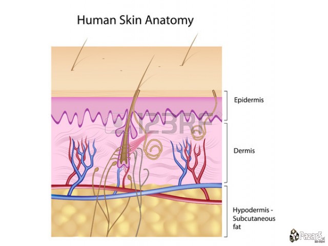 УНИВЕРЗАЛЕН ШАРПЛАНИНСКИ МЕЛЕМ