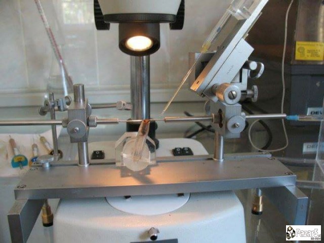 Prvoklasni Pcelni Matici I Vo 2018