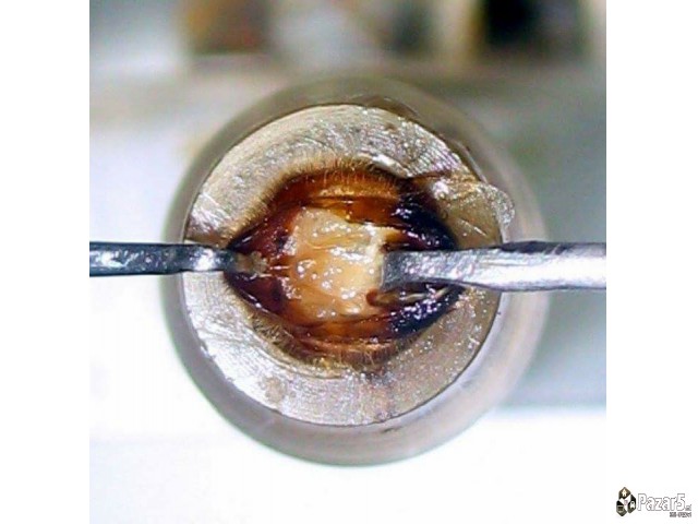 Prvoklasni Pcelni Matici I Vo 2018