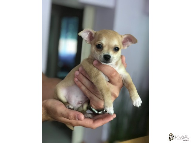 Se Orodava Civava Masko