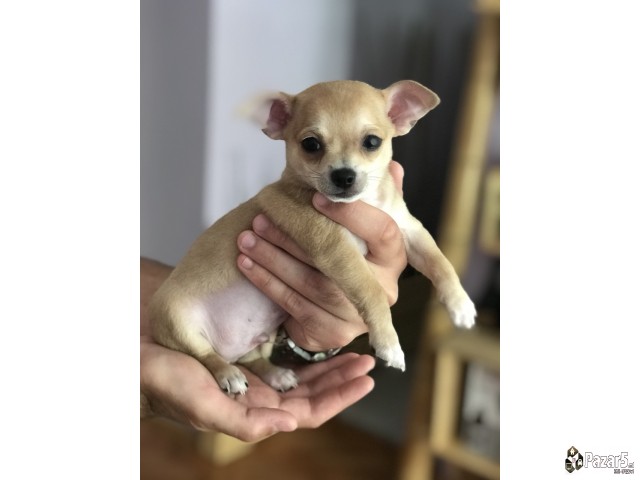 Se Orodava Civava Masko