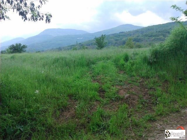 Vënd 2581m2 Në Dalje Të Qyetit