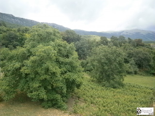 Villa Koceski *** Pestani