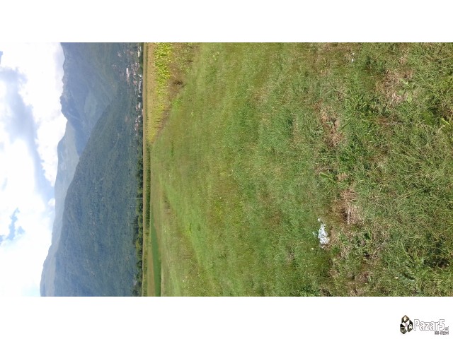 Се продава....