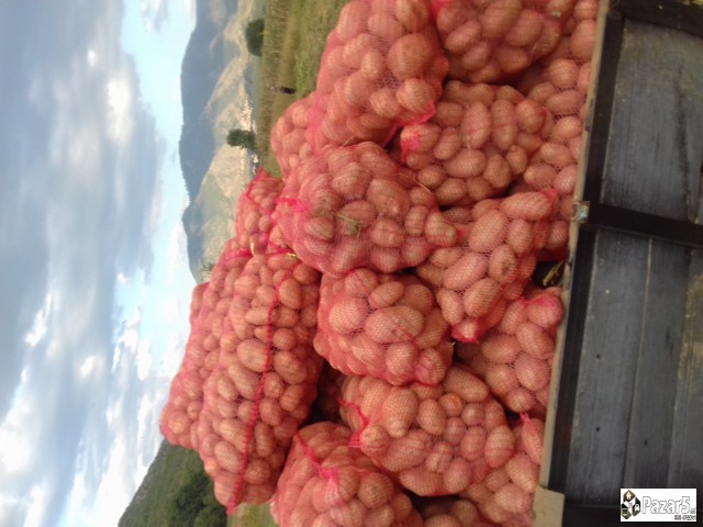 Prodavam Agrija Kompir