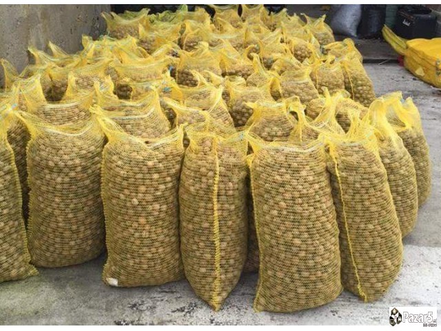 Prodavam Orev Vo Curupka I Jatka!