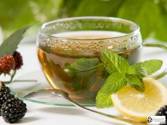 Stop Za Alkoholizmot