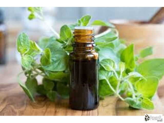 Stop Za Alkoholizmot