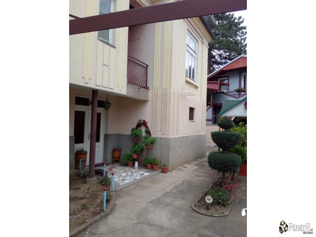 Stara Partizanska 100