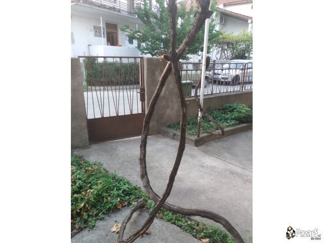 Продавам Куќа/Куќи во Ѓорче Петров