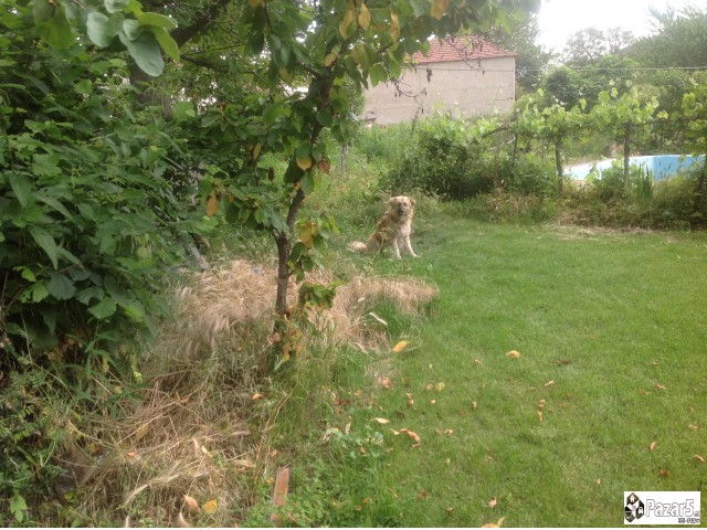 Vikendica Za Maksimalen Odmor