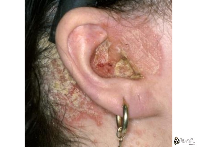 РУССКИ ПЛАНЕТ ТОРОВСКА