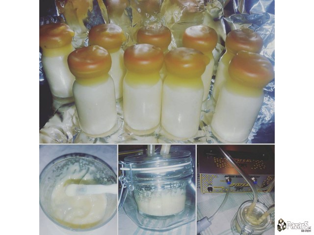 Maticen Mlec - Pcelarstvo Dodevski