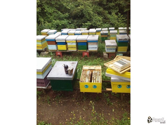 Maticen Mlec - Pcelarstvo Dodevski