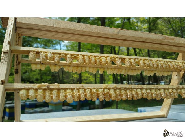 Maticen Mlec - Pcelarstvo Dodevski