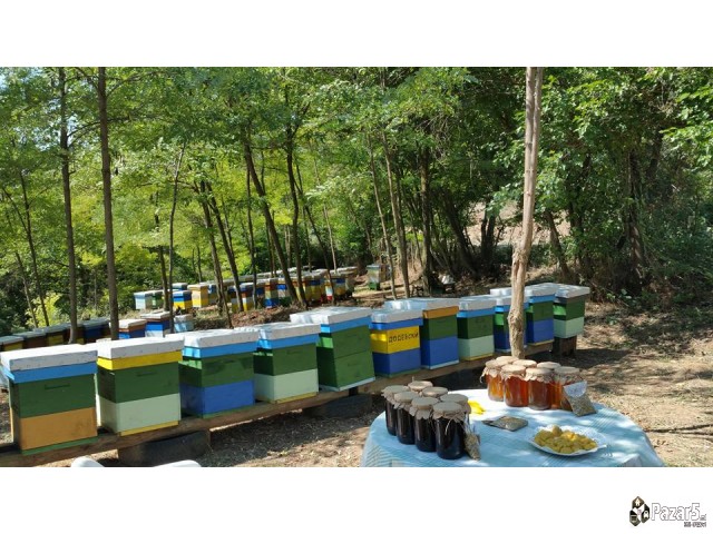  Med Priroden Med - Pcelarstvo Dodevski