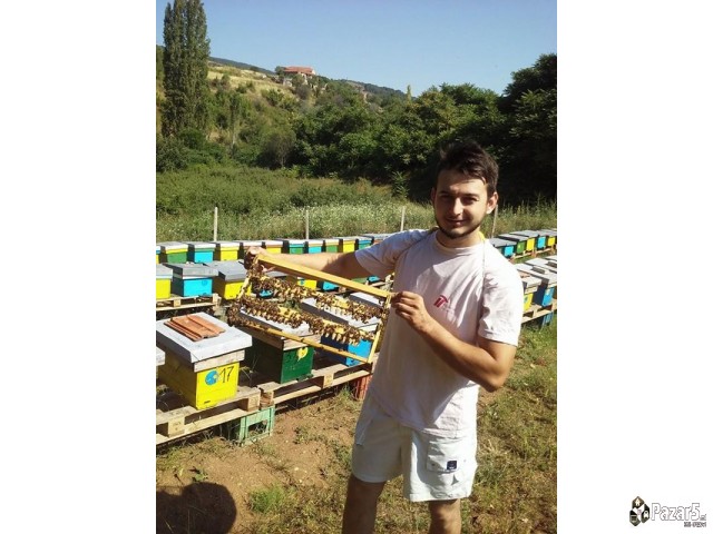 Pceli Matici Roevi Nukleusi - Pcelarstvo Dodevski