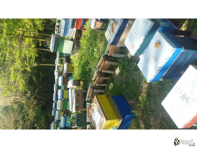 Pceli Matici Roevi Nukleusi - Pcelarstvo Dodevski