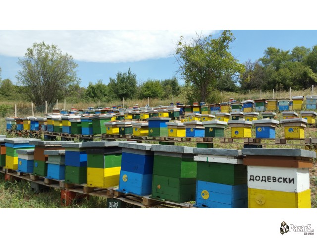 Pceli Matici Roevi Nukleusi - Pcelarstvo Dodevski