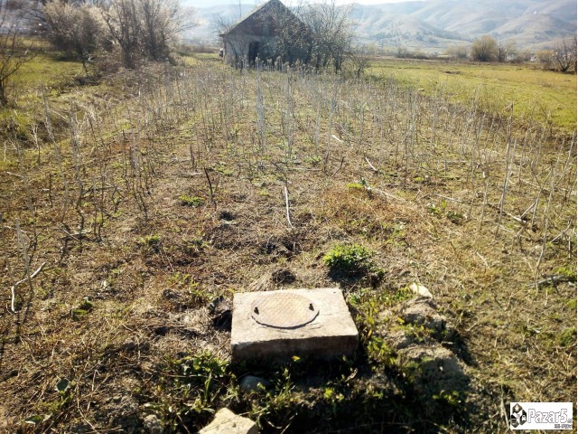 Vikendica-niva Gorno Orizari