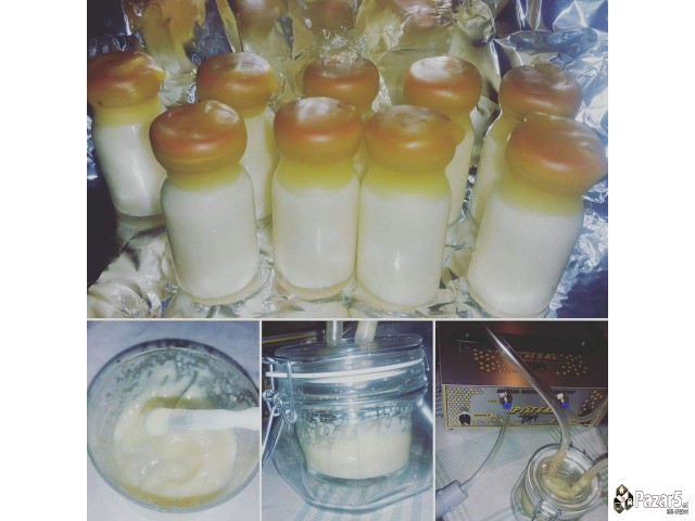 Матичен млеч