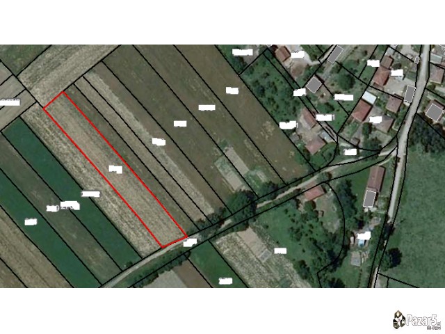 Niva/ Plac Na Atraktivno Mesto Vo S.ratae