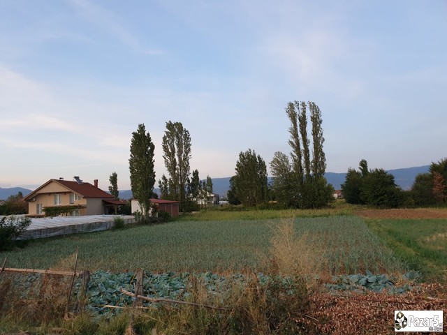 Александар