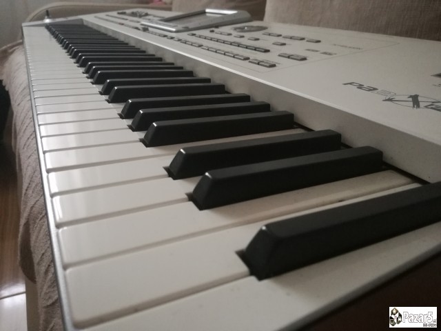 Korg Pa2xpro