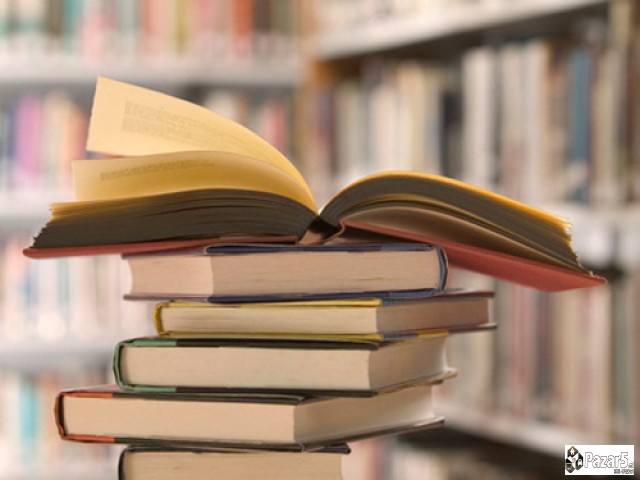 Лектор по македонски јазик