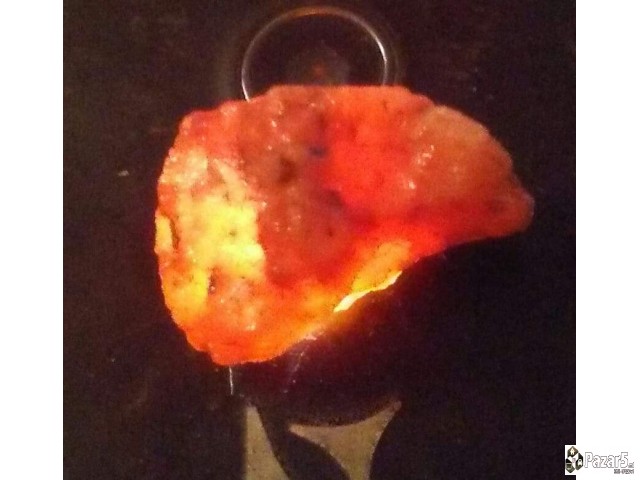 Се продава коруни