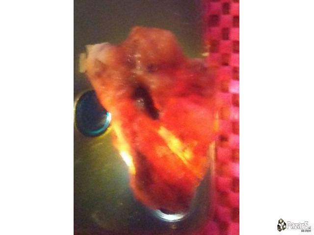 Се продава коруни