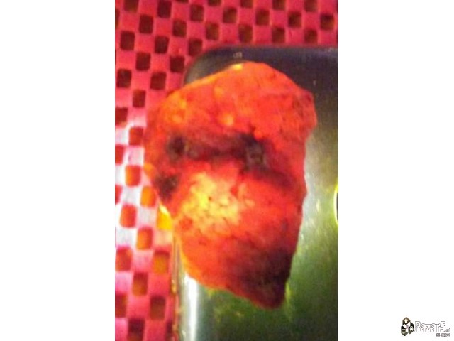 Се продава коруни