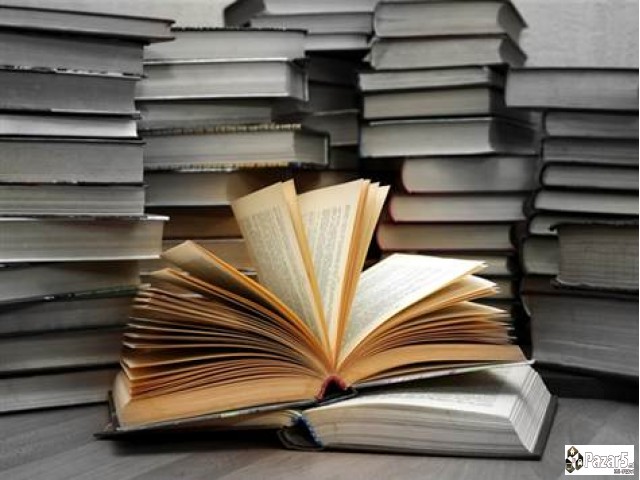 Лектор по македонски јазик