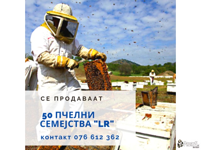 Se Prodavaat Pcelni Semejstva