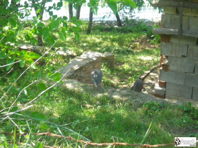 Викендица на Калиманско езеро