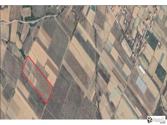 Prodavam Odrina Vo Gorna Mala Josifovo 25 Dekara