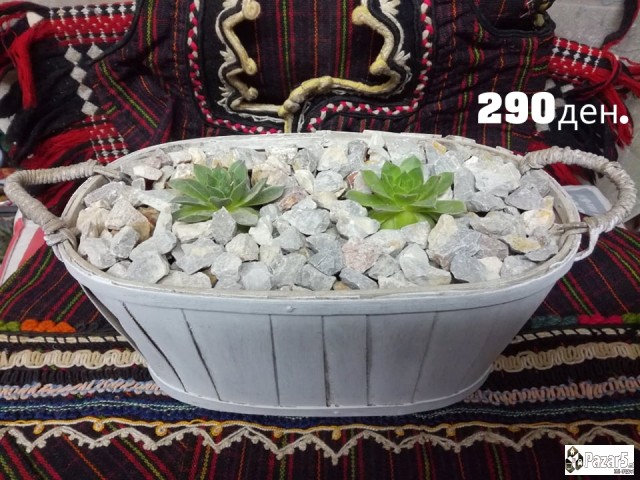 Kitki,cuvar Kuci..........