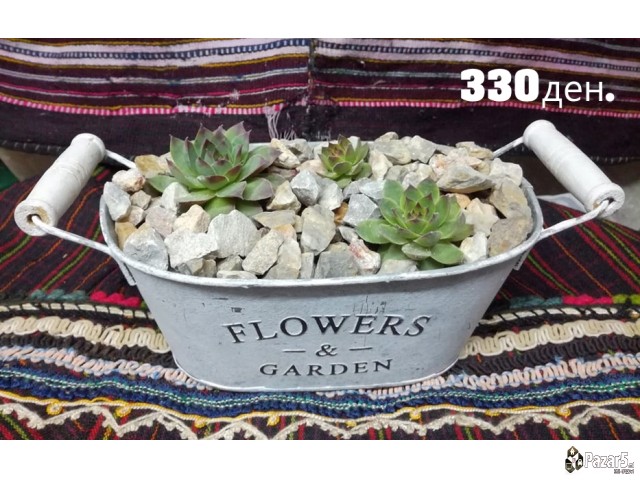 Kitki,cuvar Kuci..........