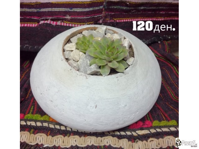 Kitki,cuvar Kuci..........