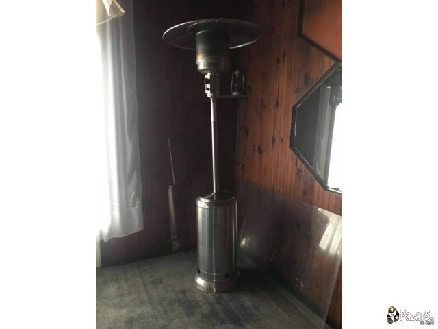 Плинска габа