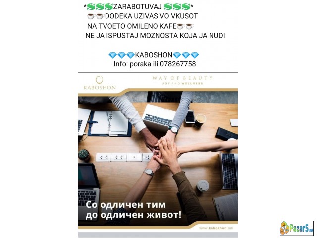 Заработка до 500евра месечно 