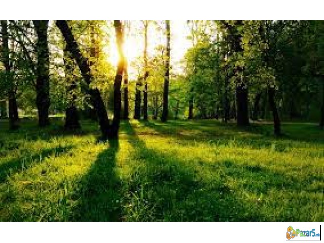 МЕСТО ЗА ВИКЕНДИЦА